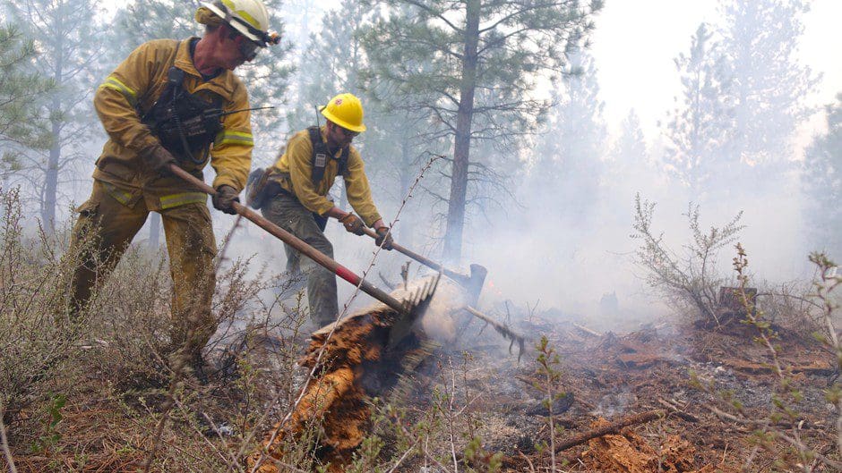 Wildland firefighters attempt to put out a wildfire.