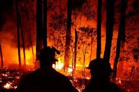 Firefighters stand in front of the flames of a wildfire in Australia.