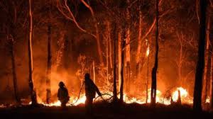 Firefighters attempt to put out a wildfire in Australia.